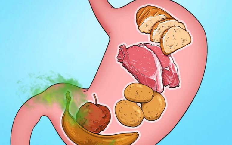 Thời gian tiêu hóa của các loại thực phẩm trong dạ dày