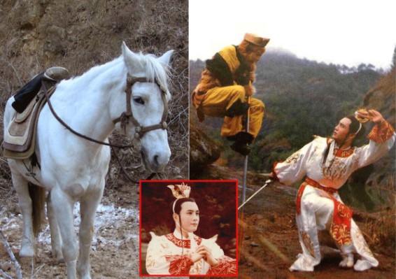 Lý do Bạch Long Mã hầu như không biến thành người để chiến đấu với quái vật khi Đường Tăng bị bắt