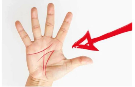 Dù nam hay nữ nếu lòng bàn tay có 3 dấu hiệu này đều có lộc, cả đời không lo thiếu tiền