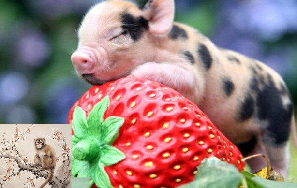 Vào tháng 7, bốn con giáp này sẽ được quý nhân giúp đỡ, công việc thuận lợi và có tài lộc rực rỡ