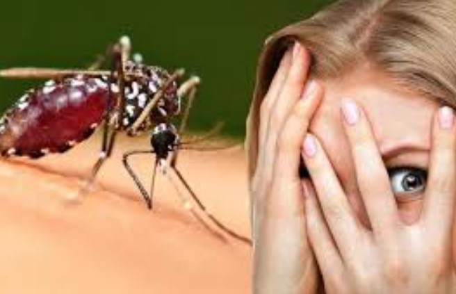 Vì sao bạn bị muỗi đốt nhiều hơn người khác? Có phải 'thịt thơm' là muỗi thích