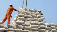 Xuất khẩu gạo sang Trung Quốc giảm tới 67,8%