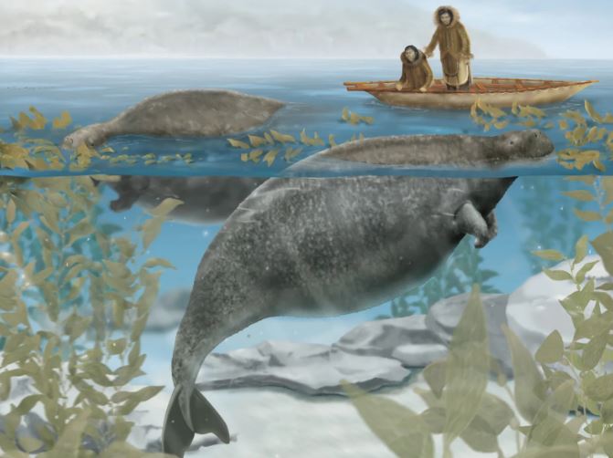 6 loài động vật bị con người săn lùng đến tuyệt chủng