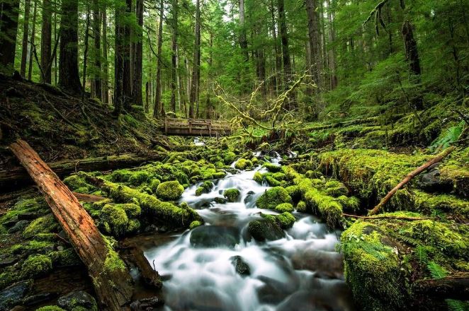 5 khu bảo tồn thiên nhiên có phong cảnh ngoạn mục nhất thế giới