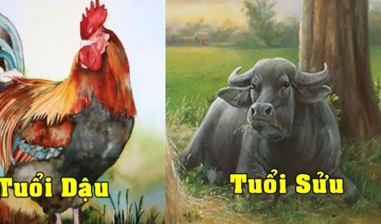 3 tuổi Số Đỏ trong 6 tháng cuối năm 2024: 1 tuổi ăn lộc Ơn Trên tiền vào như nước