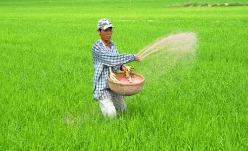 Việt Nam chi gần 682 triệu USD để nhập phân bón