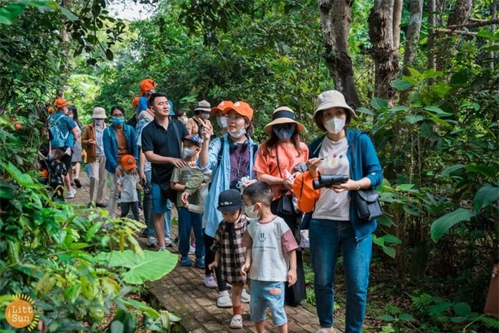 Tới rừng Cúc Phương bạn sẽ được chiêm ngưỡng và tìm hiểu hệ thống động thực vật phong phú mang đặc trưng rừng mưa nhiệt đới.