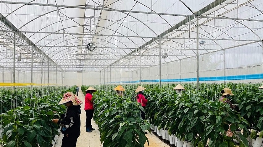 Hỗ trợ doanh nghiệp tiếp cận nguồn tài chính xanh