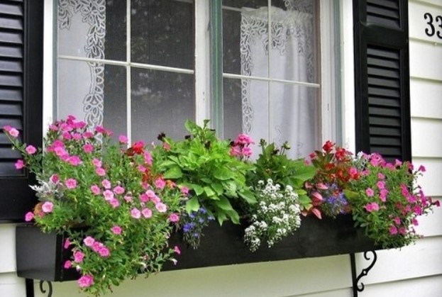 Những vật cấm kị ngoài cửa sổ, nếu có đừng mong Thần Tài ngó tới nhà mình