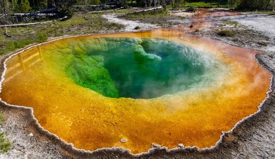 “Dạng sống thứ 3” của Trái Đất đang tạo ra năng lượng