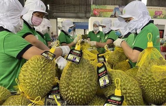 Cơ hội lớn để nông sản Việt “vươn xa”