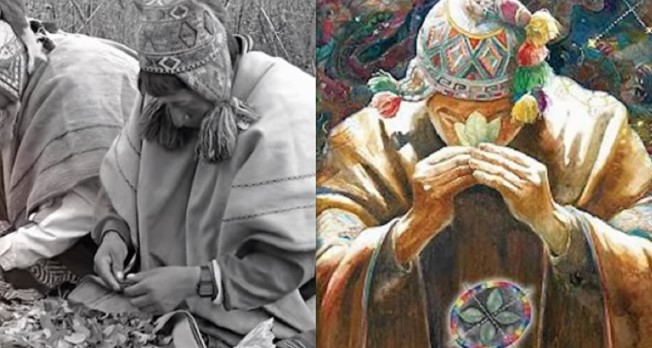 Vào thời cổ đại, con người đã sử dụng những loại ma túy nào?