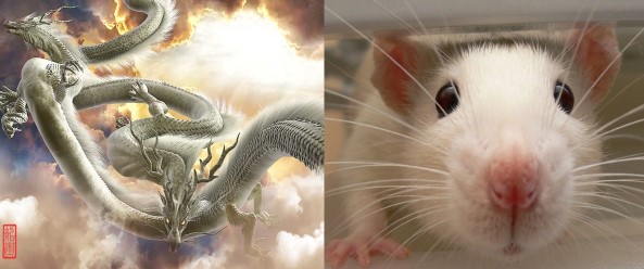 Từ 26/6-26/7, 4 tuổi mang lại danh tiếng và sự giàu có, may mắn trong mọi việc, đại phú quý ghé thăm