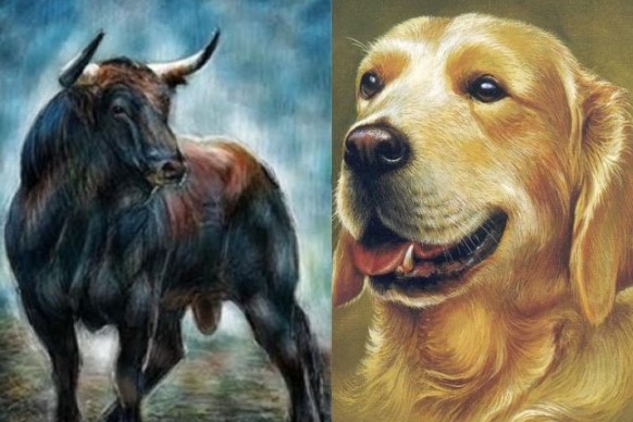 4 tuổi phú quý vây quanh, càng già càng giàu có: Đặc biệt tuổi số 2