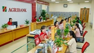 Agribank Nam Thanh Hóa: Phát huy vai trò chủ lực đầu tư nguồn vốn phát triển nông nghiệp, nông thôn