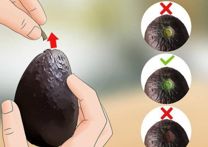 Chọn quả bơ có vỏ láng mịn là sai lầm: Mẹo hay để chọn được bơ ngon, dẻo và thơm mà không bị sượng đắng