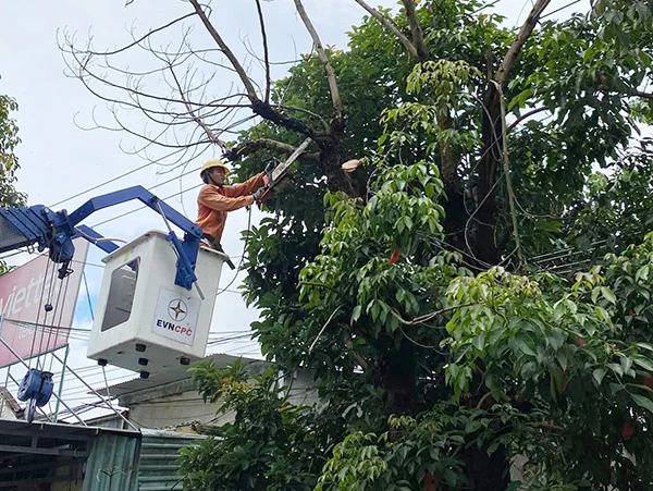 PC Đà Nẵng triển khai phát quang hành lang tuyến để chủ động phòng tránh tai nạn điện mùa mưa bão năm 2024.