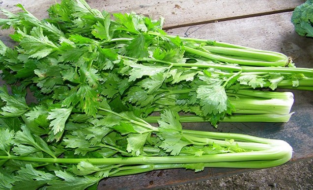 8 thực phẩm nên ăn thường xuyên để thanh lọc cơ thể