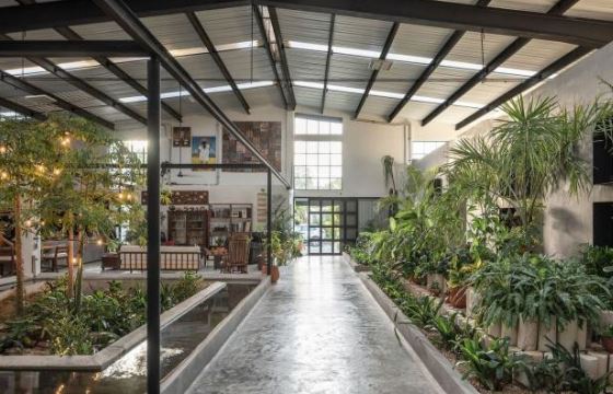 Cải tạo nhà kho bỏ hoang thành nhà ở, không gian xanh bên trong khiến nhiều người mê mẩn