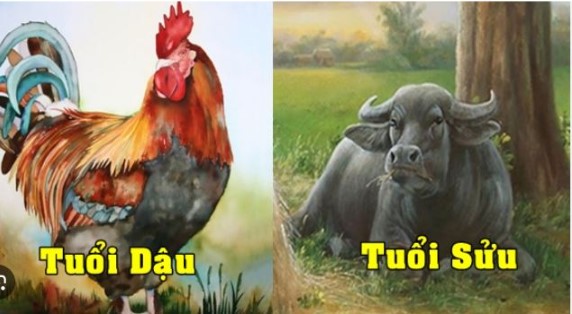 3 tuổi sắp thoát nghèo khổ, làm ăn trúng lớn, đón Tết 2025 giàu to