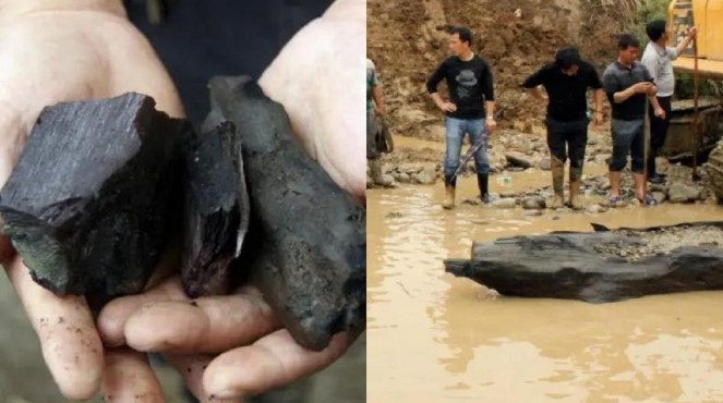 Ông lão vô tình nhặt được mảnh gỗ đen, ai ngờ lại là 'chìa khóa' dẫn đến kho báu 300 tỷ