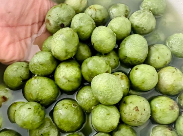 Học mẹ đảm cách làm sạch vỏ quả sấu khi không có máy chà