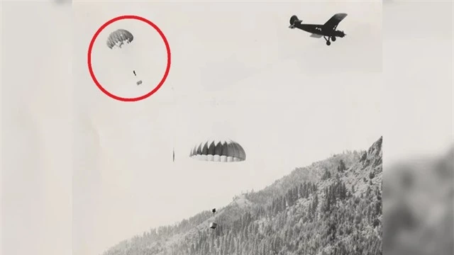 Năm 1948, gần 100 con hải ly đua nhau nhảy dù từ trên trời xuống, chuyên gia chỉ ra sự thật không ngờ - Ảnh 4.