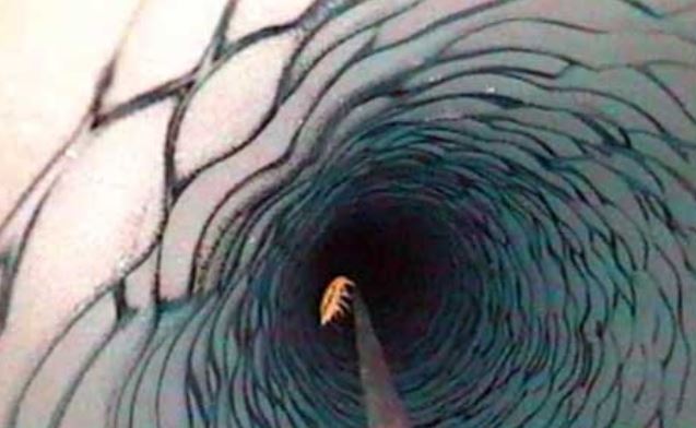 Bí ẩn ‘hồ ma quỷ’ bị 'giam cầm' 25 triệu năm dưới lớp băng dày 4km