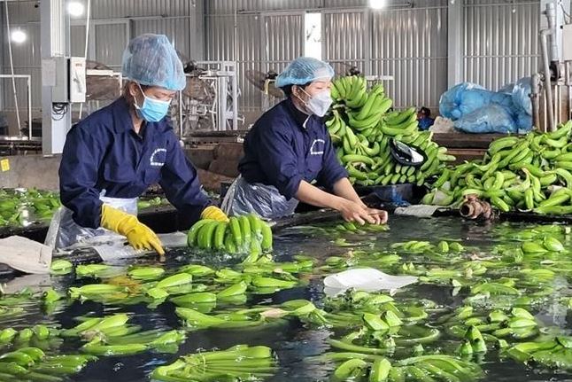 Kiến nghị nhiều giải pháp hỗ trợ doanh nghiệp trong 6 tháng cuối năm 2024