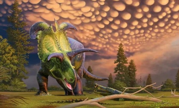 Lộ diện loài quái thú 6 sừng ở Mỹ, nặng tới 5 tấn