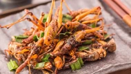 Doanh nghiệp Việt xuất khẩu côn trùng vào thị trường châu Âu