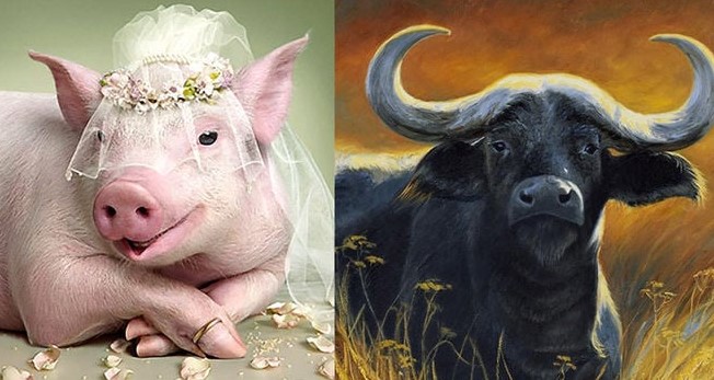 Từ nay tới Tết Ất Tỵ 2025: 3 tuổi Thần Tài theo chân, giàu lên chóng mặt