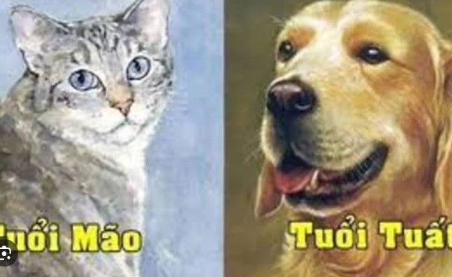 T&#x1EED; vi 12 con gi&#xE1;p h&#xF4;m nay ng&#xE0;y 5/7/2024: Tu&#x1EA5;t c&#x1ED1; g&#x1EAF;ng, M&#xE3;o &#x1ED5;n &#x111;&#x1ECB;nh