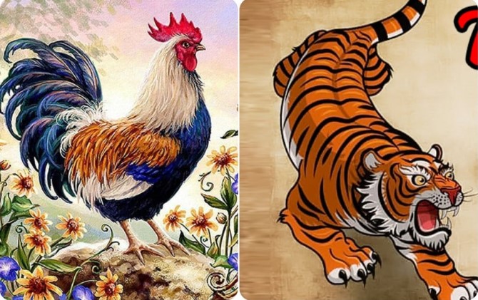 Tử vi ngày 6/7/2024 của 12 con giáp thứ 7: Sửu được nâng đỡ, Tỵ nhiều tiền