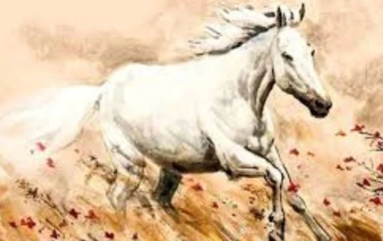 Nửa cuối năm nay, có 3 con giáp đang "phi nước đại" về phía giàu sang, gặp nhiều vận may khủng