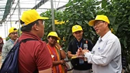 APO: Cần nhân rộng công nghệ kiểm soát khí hậu vi mô nhà kính trong nông nghiệp