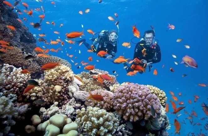 Khám phá vịnh Vĩnh Hy đẹp mê hồn khiến bao người say đắm