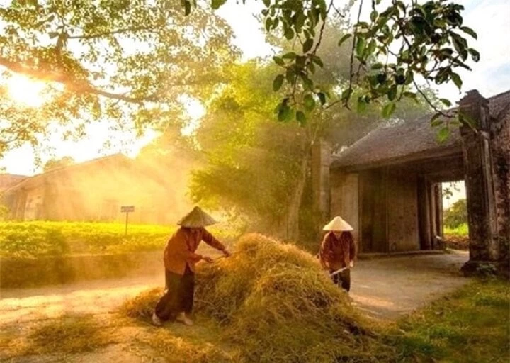 Khung cảnh yên bình của làng cổ Đường Lâm.