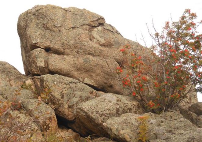 Tảng đá cổ đại bí ẩn ở Siberia có thể làm thay đổi hiểu biết về cách nhân loại hình thành