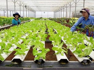 Tăng cường hợp tác quốc tế về kinh tế tuần hoàn trong nông nghiệp