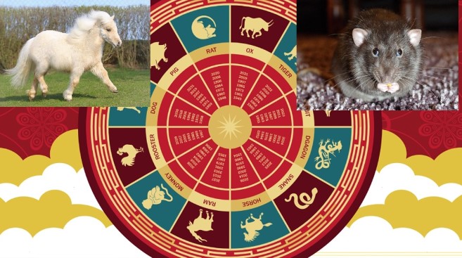 Vận mệnh hoa đào xuất sắc vào đầu tháng 7, tình yêu của 4 con giáp tiến triển thuận lợi, hạnh phúc sẽ đến