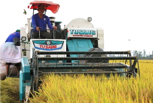 Cần Thơ: Sơ kết mô hình thí điểm 1 triệu hecta lúa chất lượng cao