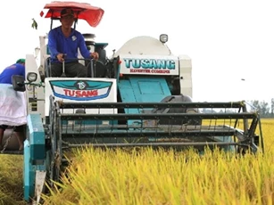Cần Thơ: Sơ kết mô hình thí điểm 1 triệu hecta lúa chất lượng cao