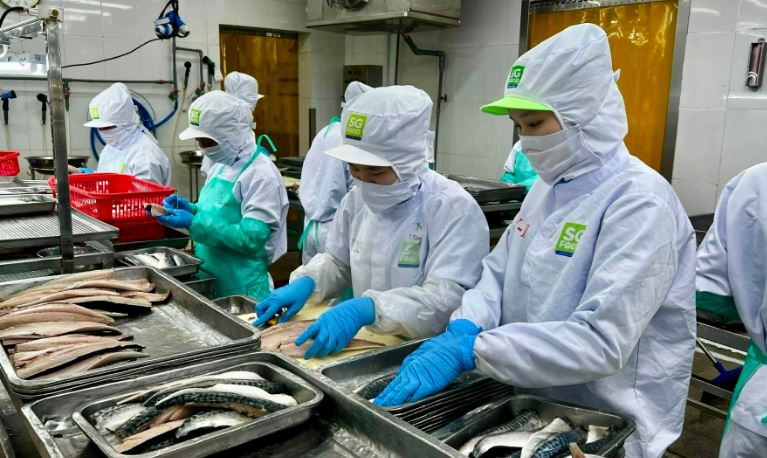 Nhu cầu lao động tăng cao tích cực nửa cuối năm 2024