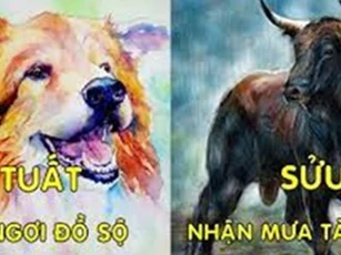 2 năm tới 3 tuổi này Tiền vào như nước, chẳng lo nghèo khổ