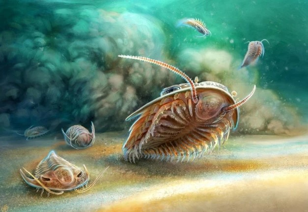 Tuyệt tích 510 triệu năm, quái vật Cambri "hiện hình" nguyên vẹn