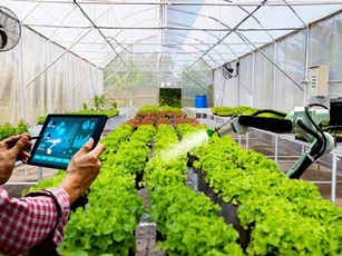 Minh bạch dự án khoa học công nghệ để doanh nghiệp nông nghiệp tham gia sâu