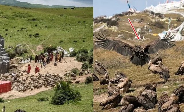 Giải mã thiên táng ở Tây Tạng: Lý do vừa cười mổ xác cho kền kền ăn là gì?
