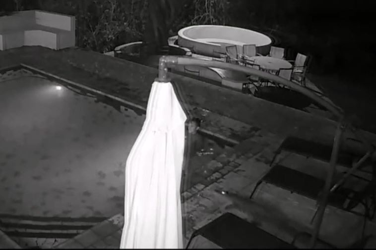 Clip: Ớn lạnh trước cảnh cá sấu bất ngờ lao xuống hồ bơi tấn công du khách