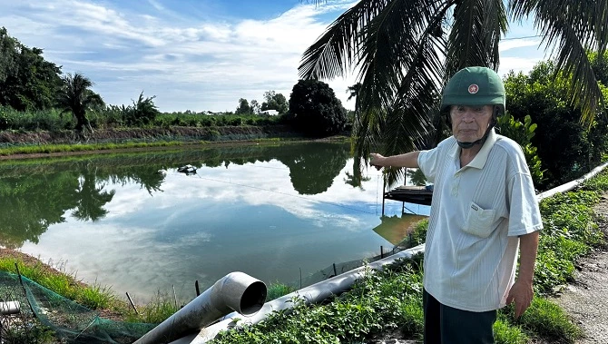 Hàng chục ao cá của ông Trần Văn Tưởng cùng chung số phận bị bỏ hoang khi chuỗi